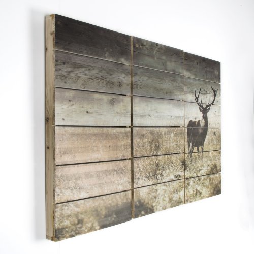 Highland Stag Wooden Wall Art