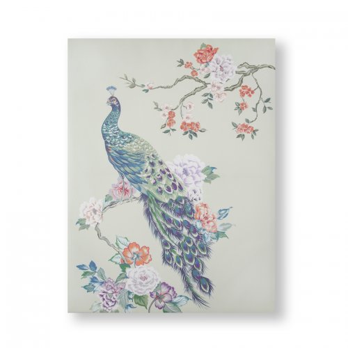 Pretty Peacock Canvas