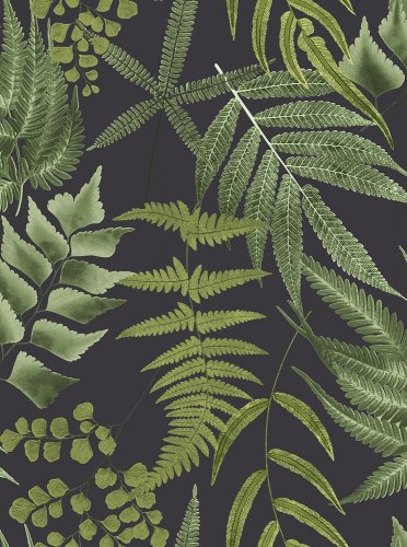 Graham & Brown Midsummer Fern Black Wallpaper