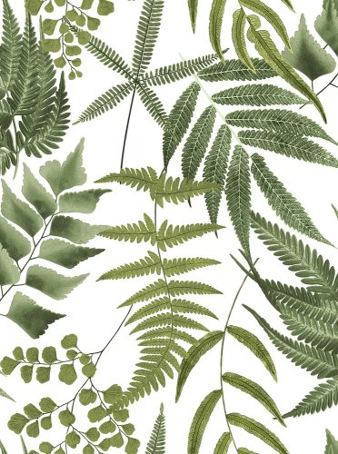 Graham & Brown Midsummer Fern Lush Wallpaper