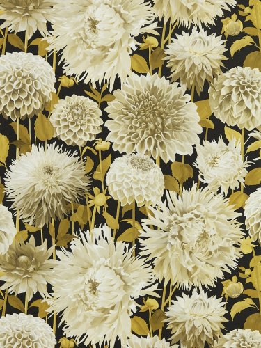 Harlequin Dahlia Fig Blossom, Nectar and Black Earth Wallpaper Long