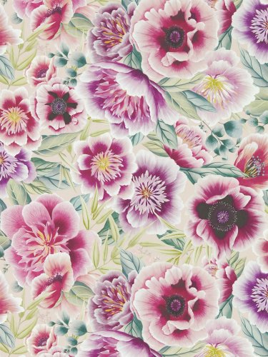 Harlequin X Diane Hill Marsha Powder, Peony & Magenta Wallpaper Long