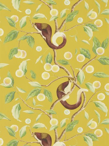 Harlequin X Diane Hill Nellie Honey & Meadow Wallpaper Long