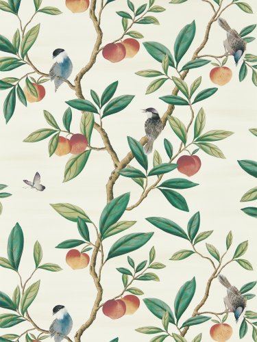 Harlequin X Diane Hill Ella Fig Blossom, Fig Leaf & Nectarine Wallpaper