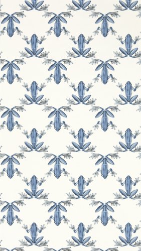 Harlequin Wood Frog Wild Water / Chalk Wallpaper Long