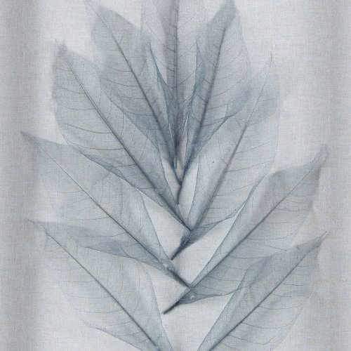 Delicate Leaves Duo Framed Print