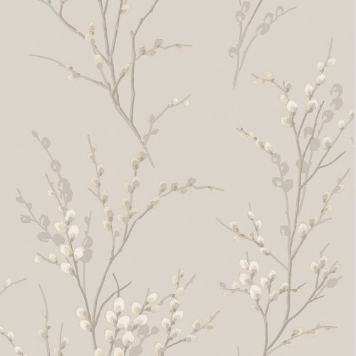 Laura Ashley Pussy Willow Dove Grey Wallpaper with delicate branches