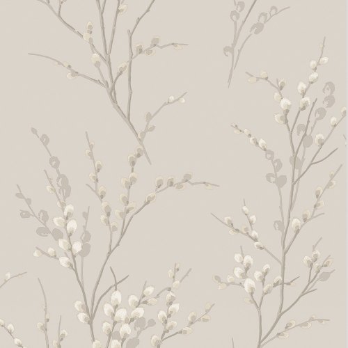 Laura Ashley Pussy Willow Dove Grey Wallpaper 113361