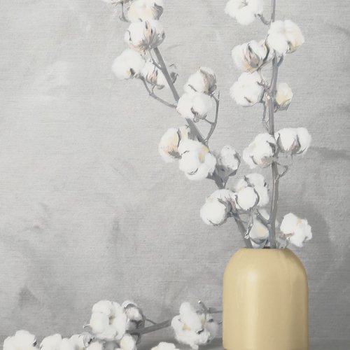 Cotton Flower Sprigs Framed Print