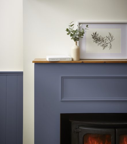 Joules Bluebell Banket Paint
