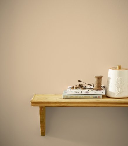 Joules Bushell Paint