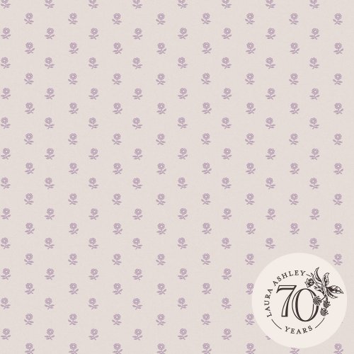 Laura Ashley Daisy Lavender Wallpaper