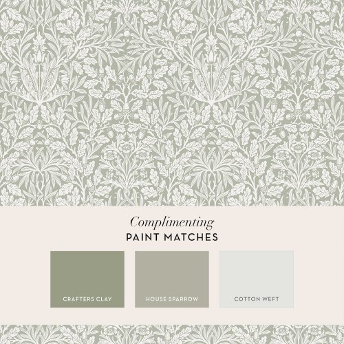 Matching paints paired with Acorn Sage wallpaper