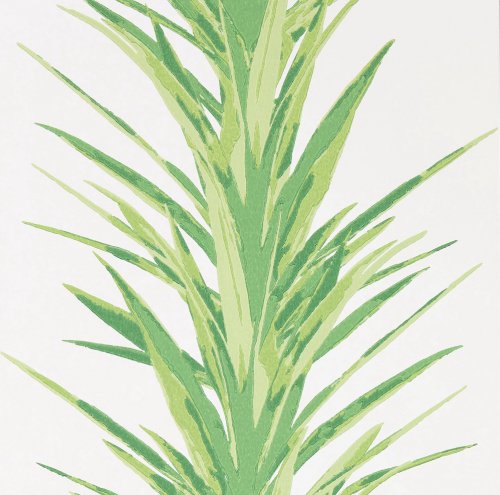 Sanderson Yucca Botanical Green Wallpaper 216649