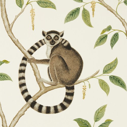 Sanderson Ringtailed Lemur Cream/Olive Wallpaper 216664