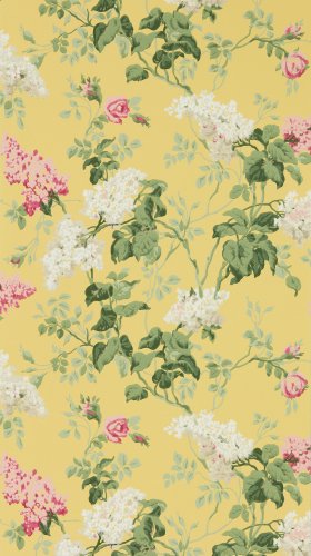 Sanderson Sommerville Carmen/Daffodil Wallpaper 217051