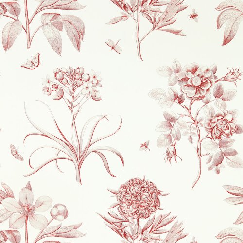 Sanderson Etchings & Roses Amanpuri Red Wallpaper 217054