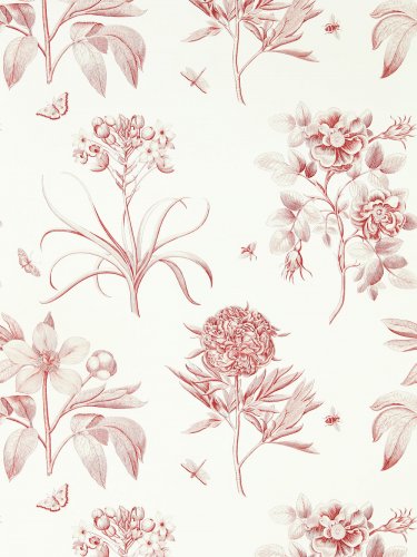 Sanderson Etchings & Roses Amanpuri Red Wallpaper 217054