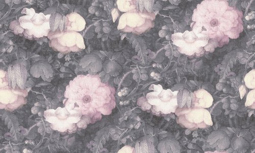 369212 Vintage Roses wallpaper in heather