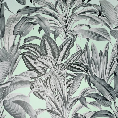 Arthouse Greenhouse Plants Mint Wallpaper 909500