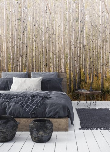 Grandeco Birch Tree Wall Mural