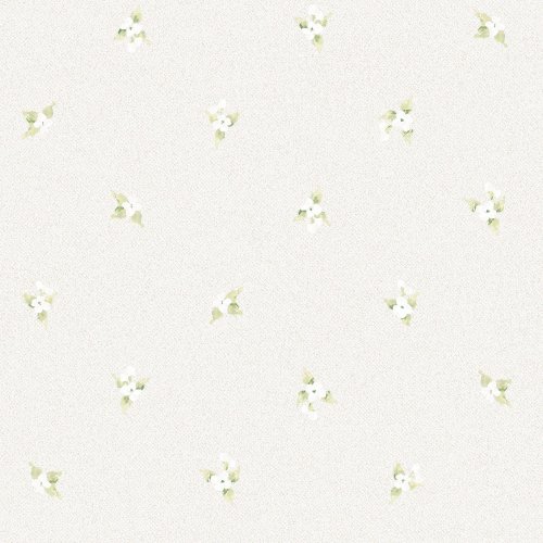 Galerie Abby Rose 4 Wallpaper AF37749