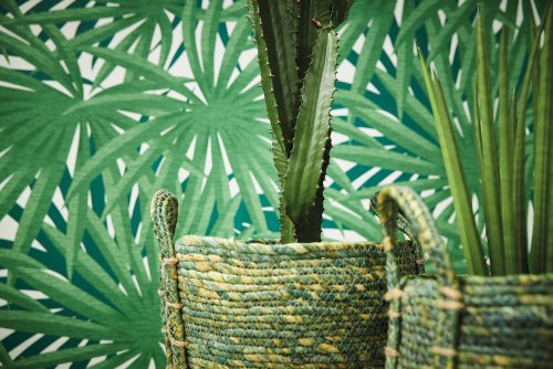 Living Walls Marrakech Palm Green Wallpaper