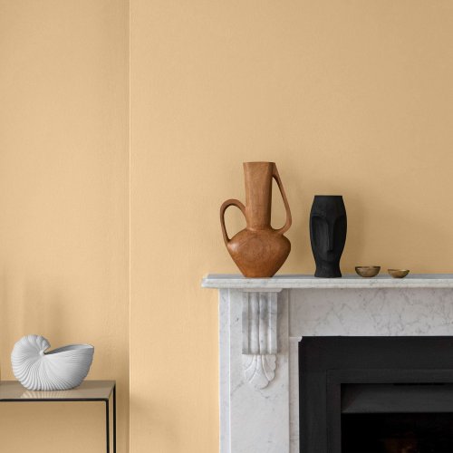 Interior room painted in Craig & Rose Beauvais Cream with wood and natural textures