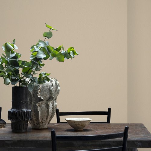 Interior room painted in Craig & Rose Coachella with a warm, natural look