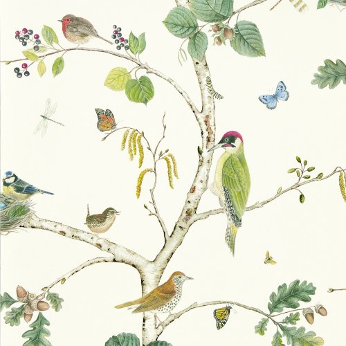 Sanderson Woodland Chorus Botanical / Multi Wallpaper