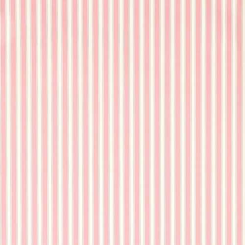 Sanderson New Tiger Stripe Rose and Ivory Wallpaper DCAVTP101