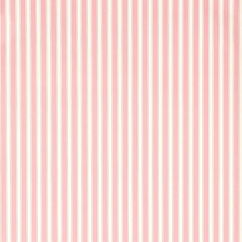 Sanderson New Tiger Stripe Rose and Ivory Wallpaper DCAVTP101