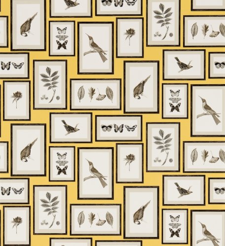 Sanderson Picture Gallery Yellow/Charcoal Wallpaper