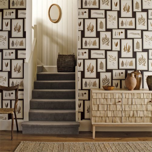 Sanderson Fern Gallery Spice/Charcoal Wallpaper