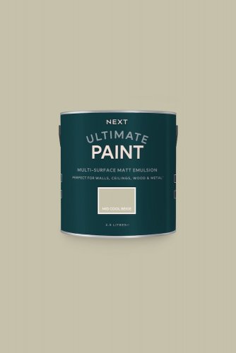 Next Mid Cool Beige Paint