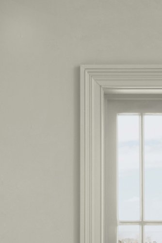 Next Mid Greige Neutral Paint