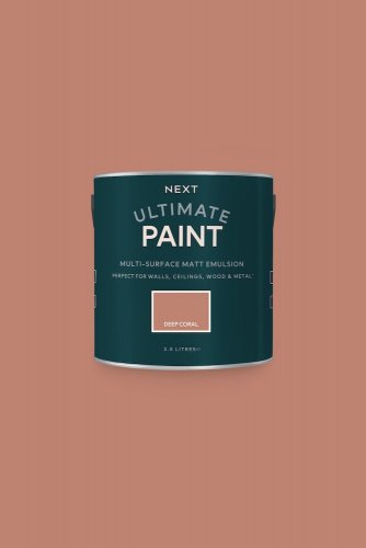 Next Deep Coral Paint