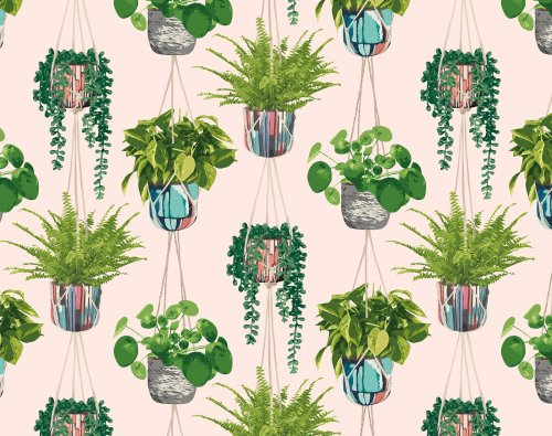 ohpopsi Houseplant Ballet Slipper Wallpaper GRA50110W