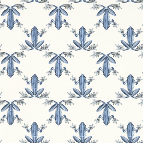 Harlequin Wood Frog Wild Water / Chalk Wallpaper