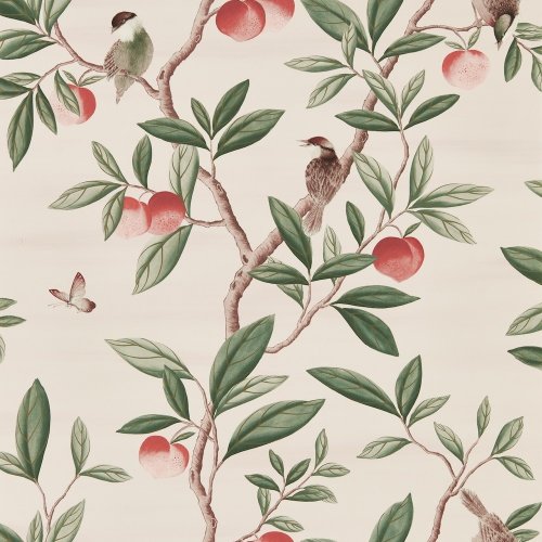 Harlequin X Diane Hill Ella Powder, Sage & Peach Wallpaper