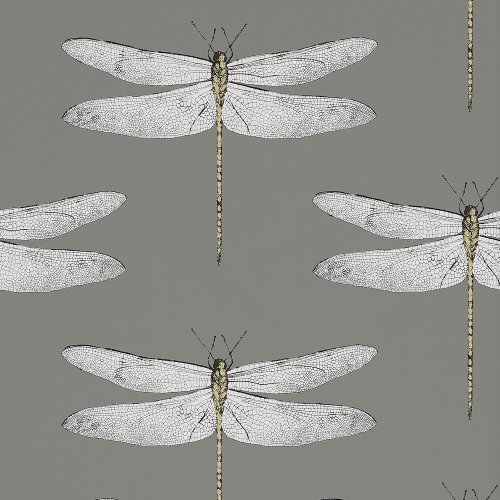 Harlequin Demoiselle Graphite & Almond Wallpaper