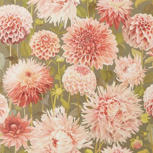 Harlequin Dahlia Cora, Fig Leaf and Gilver Wallpaper