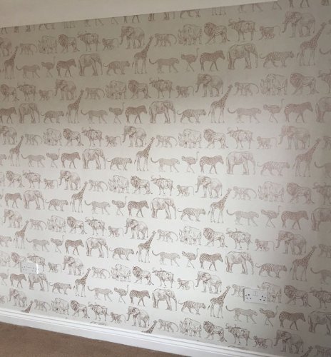 Graham & Brown Safari Ivory and Rose Gold Wallpaper Room