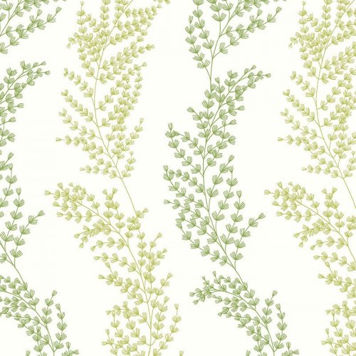ohpopsi Mimosa Trail Olive Wallpaper JRD50111W