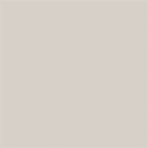 Sanderson Grey Birch LT Paint