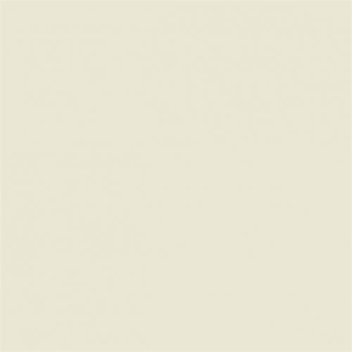 Sanderson Dusky White Paint