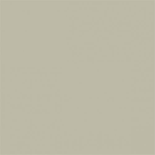 Sanderson Mushroom Grey LT Paint