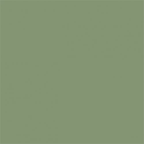 Sanderson Canopy Green Paint