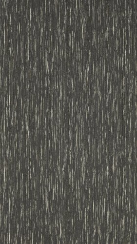 Clarke & Clarke Asper Charcoal/Gilver Wallpaper Long