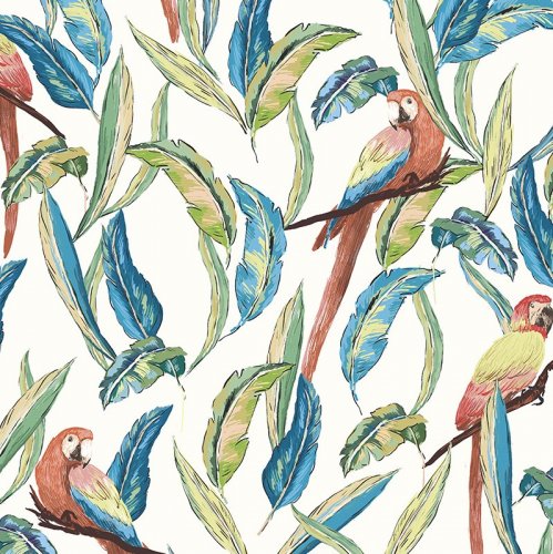 ohpopsi Parrot Wilderness White Wallpaper WLD53116W